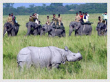 Kaziranga