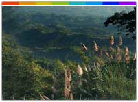 Jampui Hills, Tripura